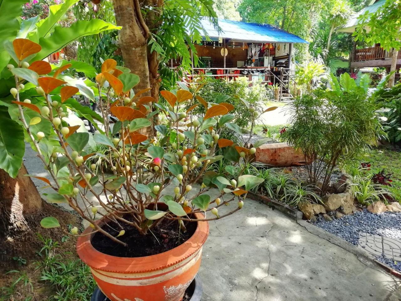 Macura Resort Koh Chang Esterno foto